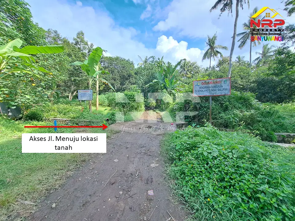 Dijual tanah kebun luas under 100rb per meter di Dadapan Banyuwangi