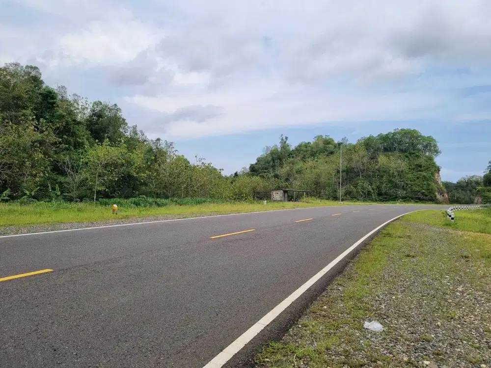 Tanah Murah Area Girisubo Cocok Untuk Univesitas Hotel Dan Resort