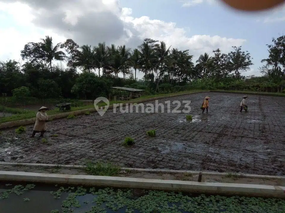 Tanah Lokasi Strategis Dijual di Jalan Raya Secang Magelang