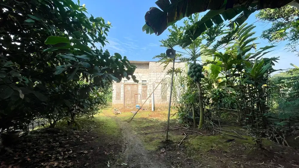 Dijual Murah Rumah + Kebun Produktif 203 m2 di Bojong Purwakarta