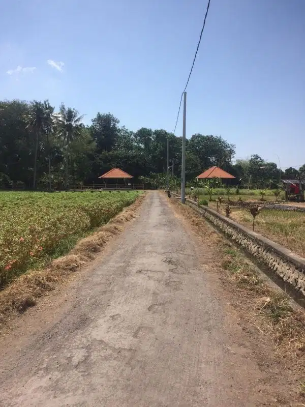 Lahan  Murah. Area Trenggana Penatih.