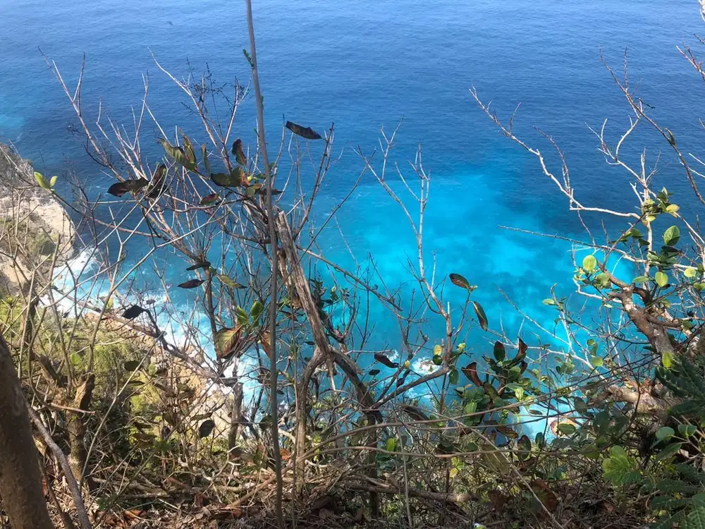 DIJUAL TANAH LOS TEBING TERBAIK NUSA PENIDA