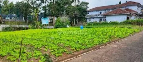 Dijual Tanah Luas  diarea  Perumahan Cipanas Dekat Jl.Raya