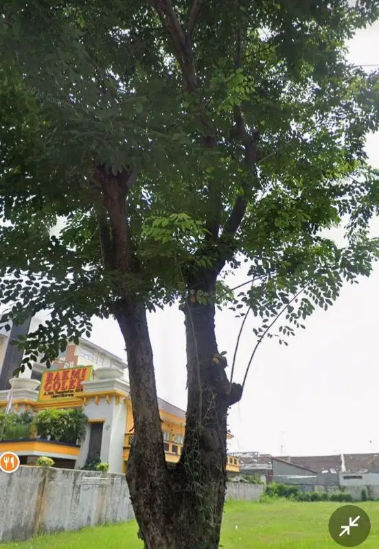 Disewakan lahan strategis di Lippo Cikarang