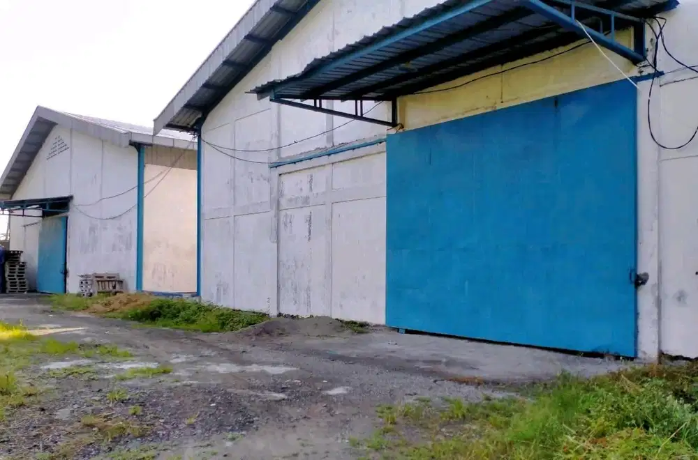 Raya balongpanggang gresik