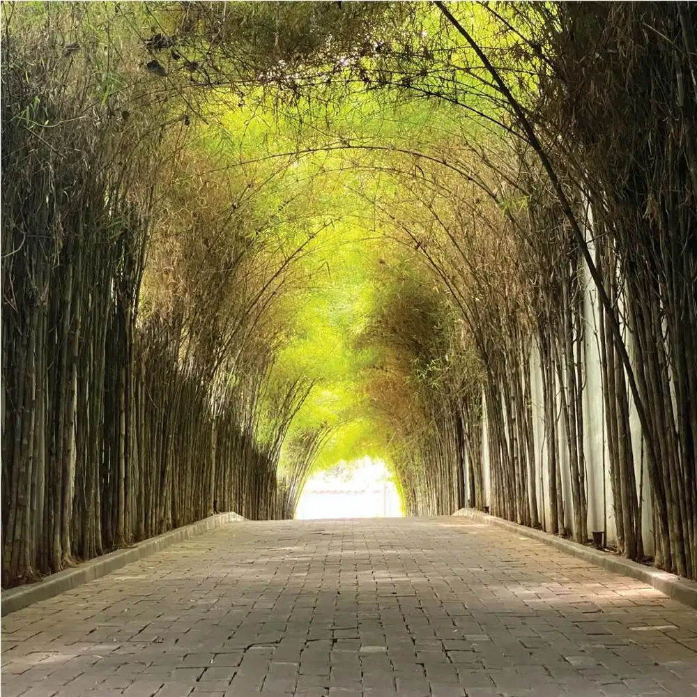 Townhouse Cantik Suralaya Residences A4 Di Daerah Elit Kemang