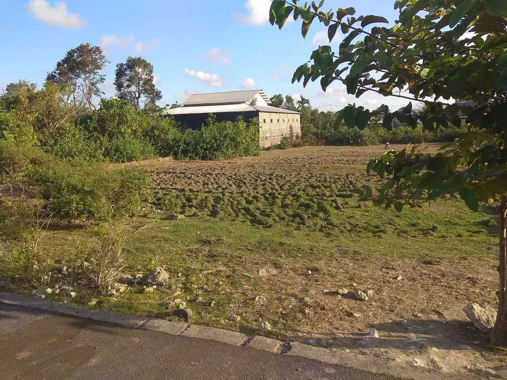 Disewakan tanah 10,65 are di area jl Kargo Denpasar Bali