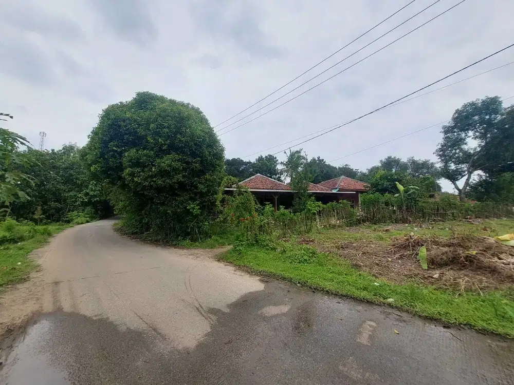 Investasi Untung di Cibarusa View: Kavling Produktif dengan Lingkungan