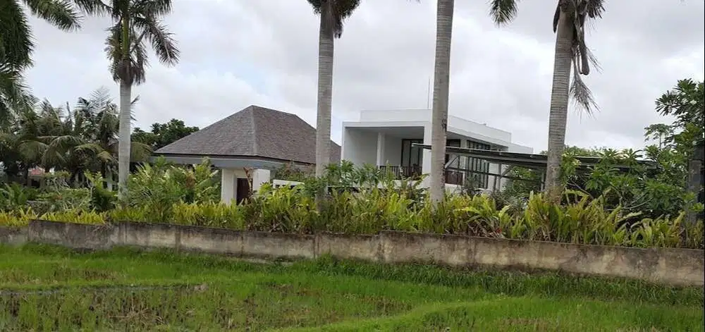 VILLA NEAR BEACH IN CANGGU DISCOVERY