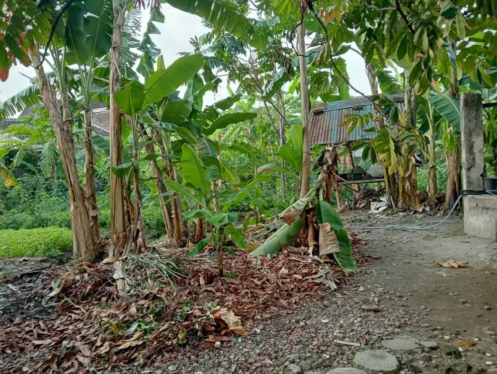 tanah murah tengah kota solo dekat graha saba dan manahan