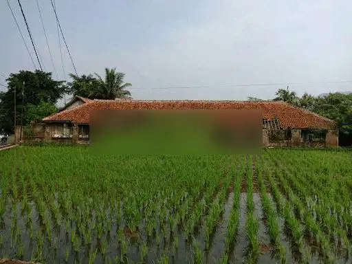 Tanah Murah Dipingir Jalan Cianjur Permeter 800 Ribu