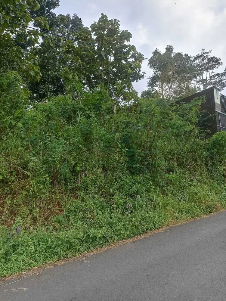 Jual Cepat Tanah Murah di Argomulyo Salatiga dkt jl Lingkar, RS Puri