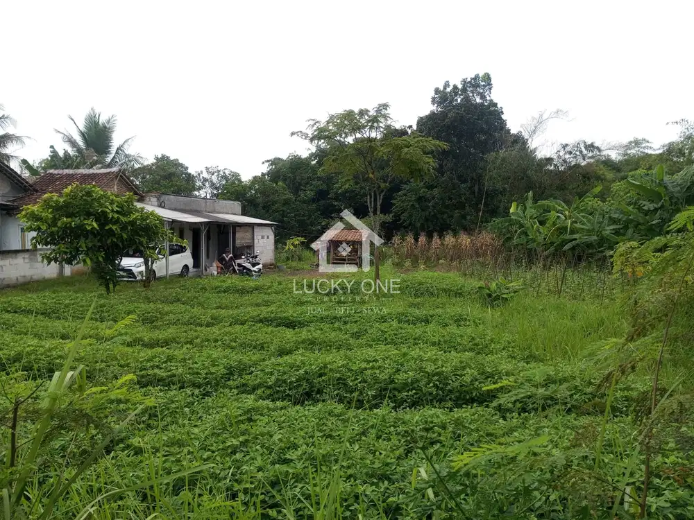 DIJUAL LAHAN KOSONG – TENJO, JAWA BARAT