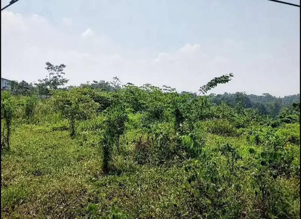 Jual Tanah Industri di Rangkasbitung Mekar Agung Cibadak - Lebak