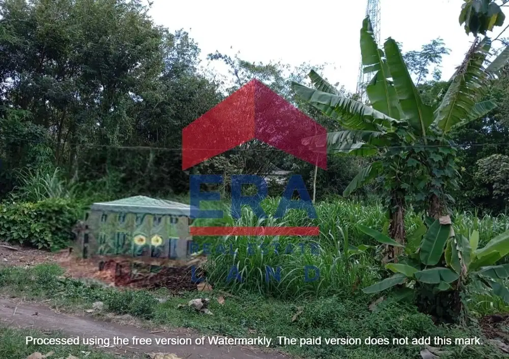 Dijual Tanah Murah di Jalan Raya Duren Talun Blitar