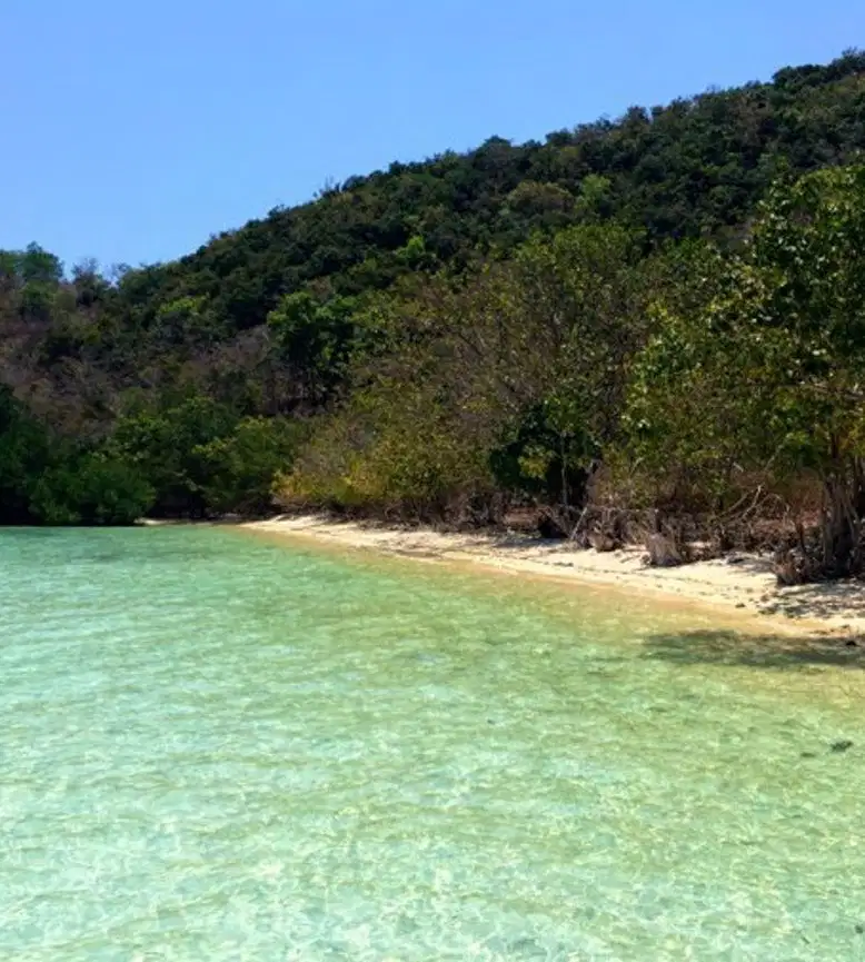 PRIME BEACHFRONT LAND AT FLORES NUSA TENGGARA SUPER HOT LISTING