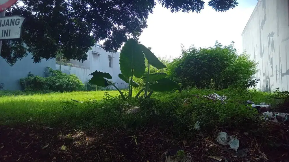 Sangat Cepat! Kavling Istana Sukajadi Eksklusif