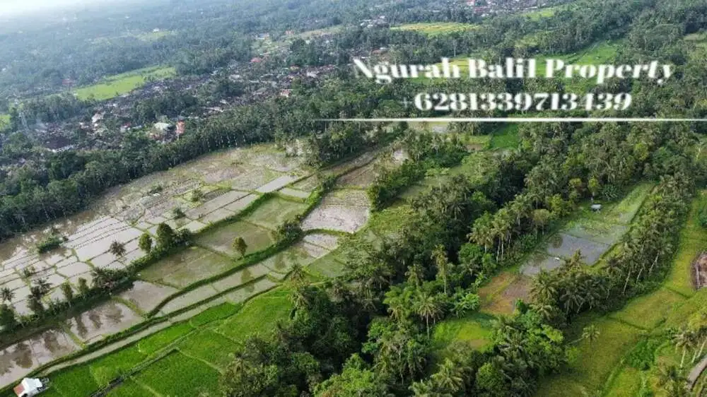 Dijual Tanah Murah Luas 46 Are View Sawah, Gunung dan Sungai