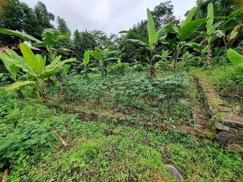 tanah buat tempat tinggal akses mobil deket perumahan