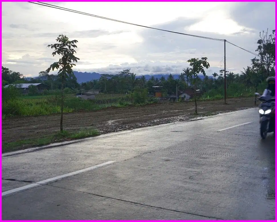 7 Menit Pintu Tol Palbapang Magelang, Sertipikat SHM Mangku Jalan