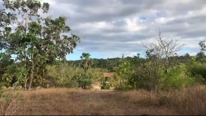 Dijual Tanah Jl. Tilong Dam, Kupang Tengah, NTT -T-0110