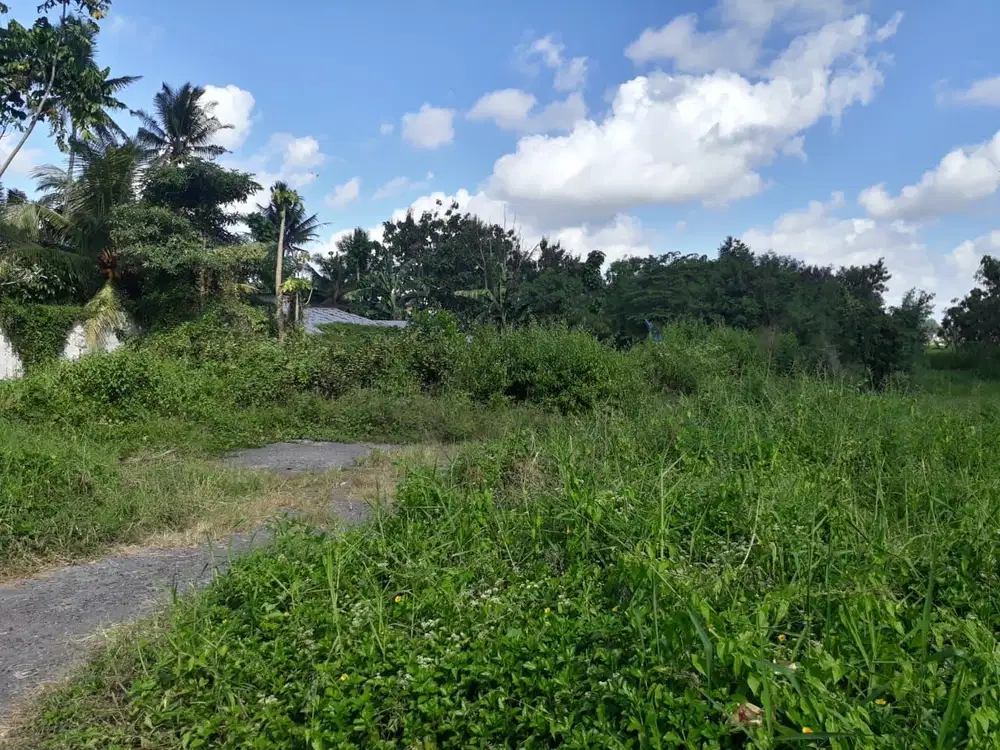 DIJUAL TANAH KAVLING VIEW SAWAH MENGWI
