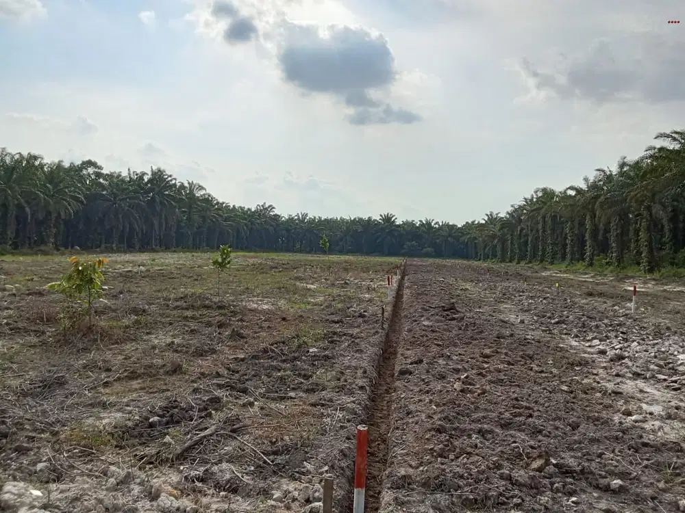 Tanah Kavling Syari Bersertikat Hak Milik di jalan Pasir Putih