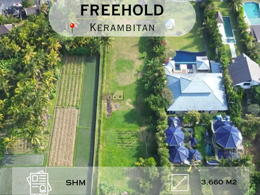 Prime Beachfront Land in Pasut – Perfect for Villa/Resort