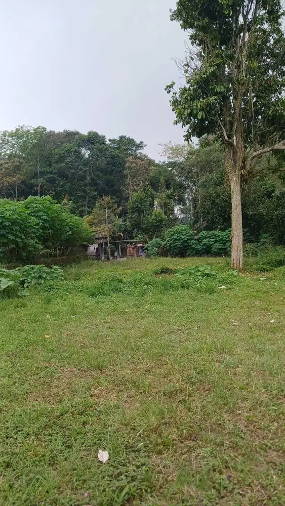 Jual Cepat Tanah SHM 3 Muka di Pakem Sleman dekat Fasum