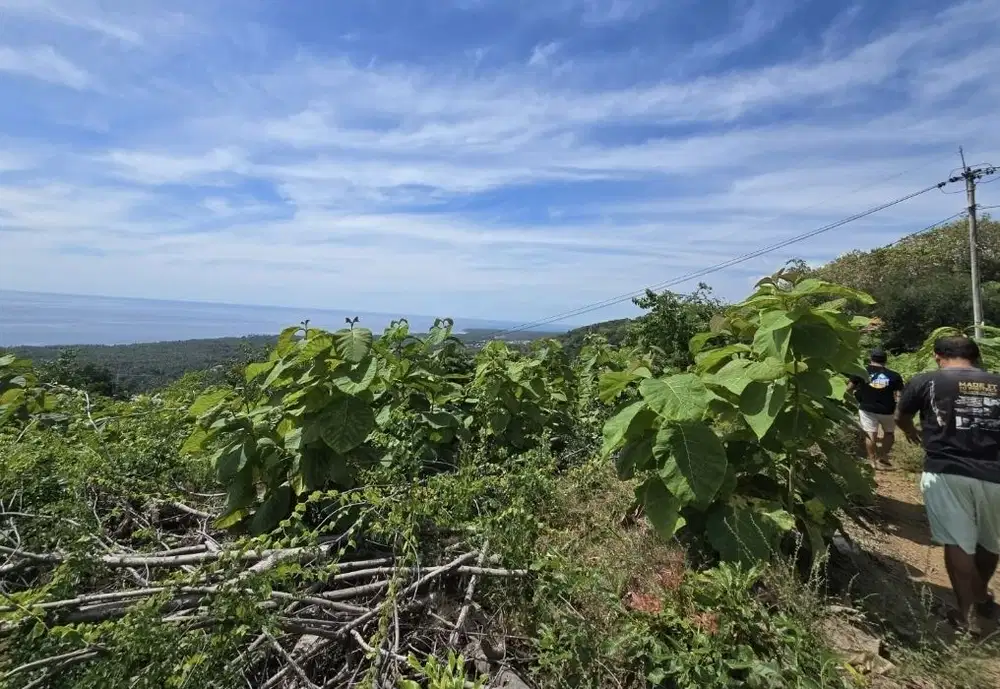 Dijual tanah view laut bali utara