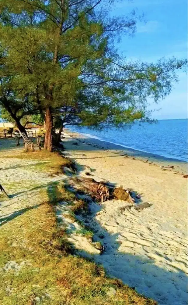 Tanah Di Desa Pegantungan,Badau,Belitung-Depan Pantai Cocok U/ Resort