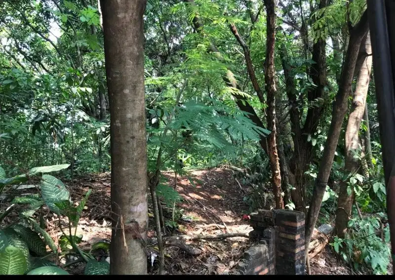 Tanah lokasi strategis di Munjul, Jakarta Timur (Harga per meter)