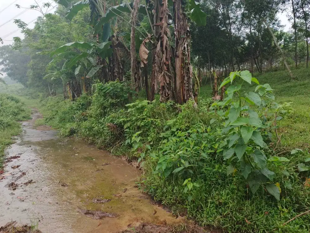 Kavling Delta View Sukamukti: Cocok Hunian & Investasi Pusat Industri