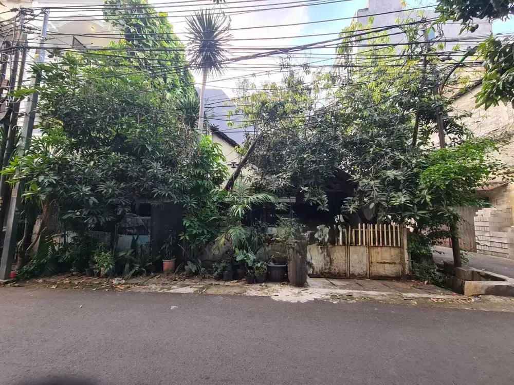 Ton -Dijual Rumah Tua Petojo Viy 1 Lantai Unfurnish