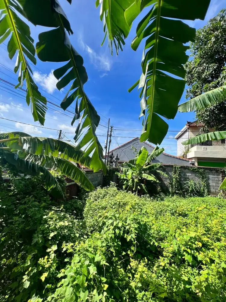 Hot Listing Tanah Siap Bangun di Pemecutan Kota Denpasar