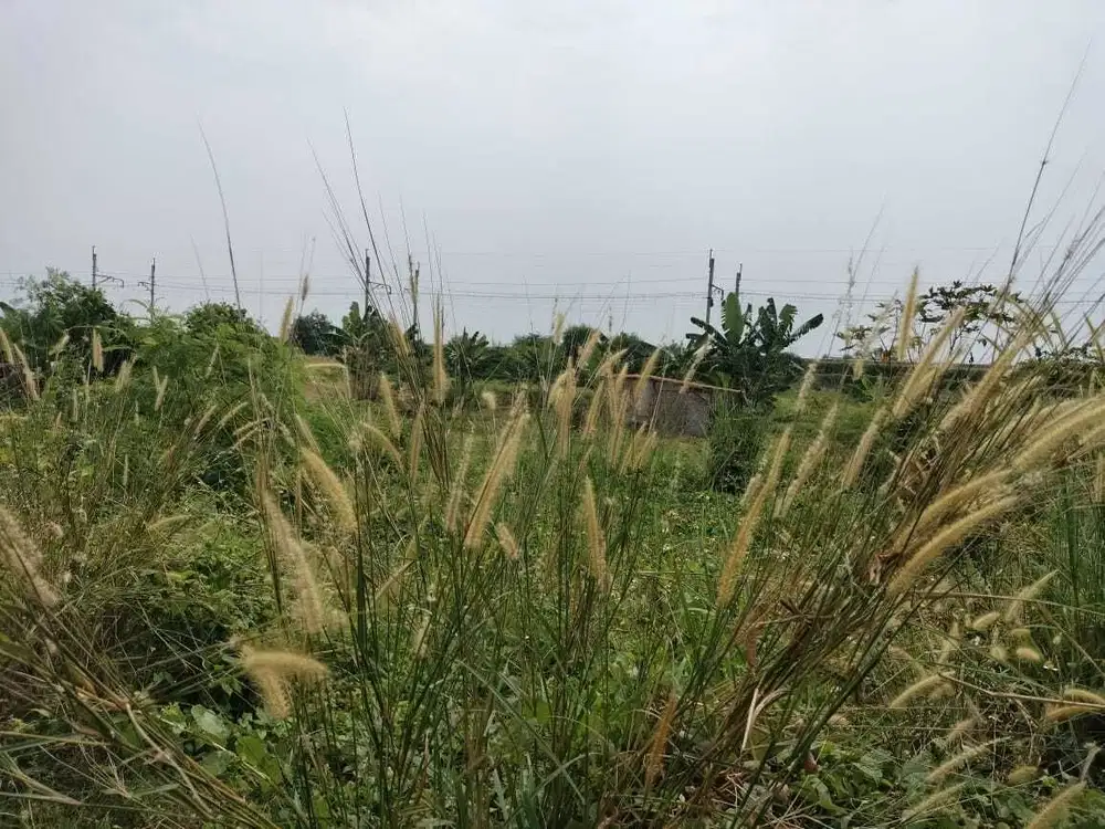 Tanah Kapuk Raya Luas 4500m Boulevard, Strategis dekat Elang laut