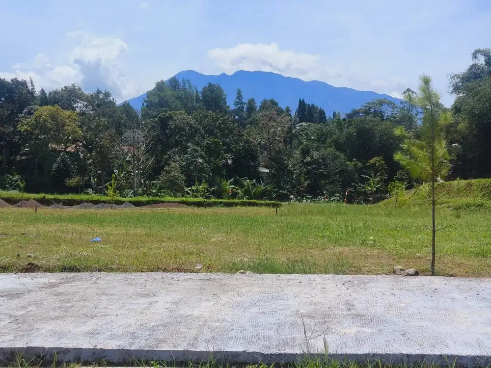 Tanah 302m2 Di Puncak Megamendung Bogor Dekat tol gadog