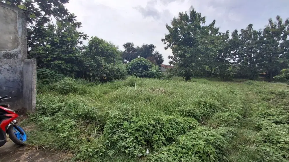 Investasi yang menguntungkan, Tanah Kavling Area Bojong Kulur