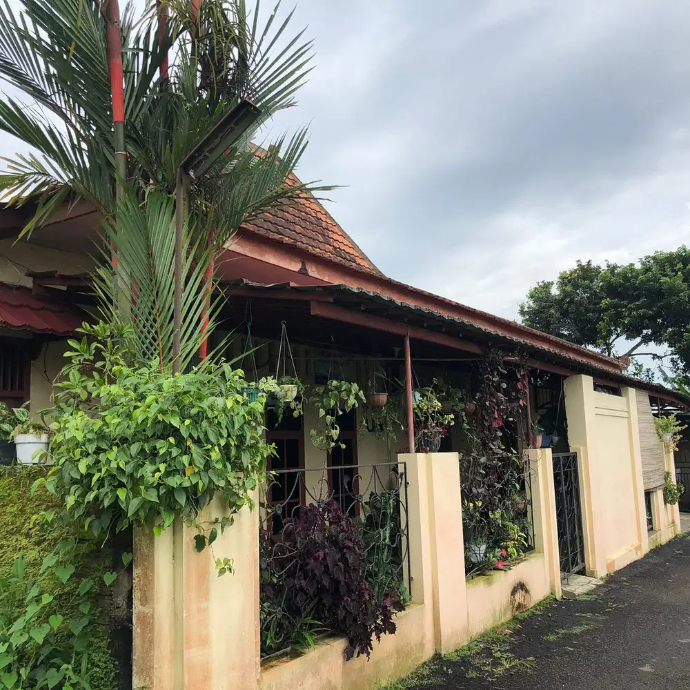 Dijual rumah Joglo nuansa pedesaan Karanggintung utara Purwokerto