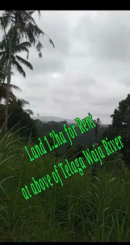 Land 1,2ha for Rent above Telaga Waja River Karangasem Bali