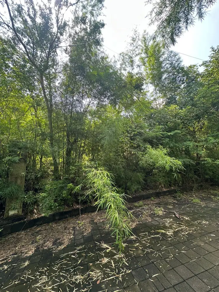 Di Jual Tanah Premium Kawasan Villa Di Jl. Taman Kebo Iwa, Benoa Kuta