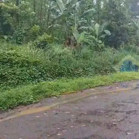 Jual tanah Industri di Jl Raya sampay, cileles, Lebak - Banten