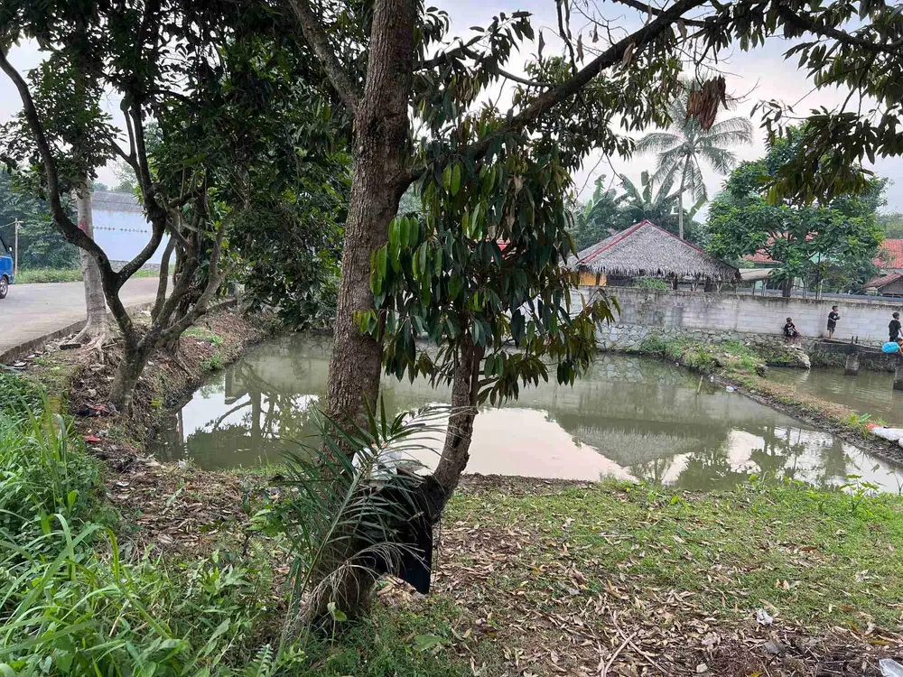 Di jual tanah empang pinggir jalan di ciseeng kab bogor