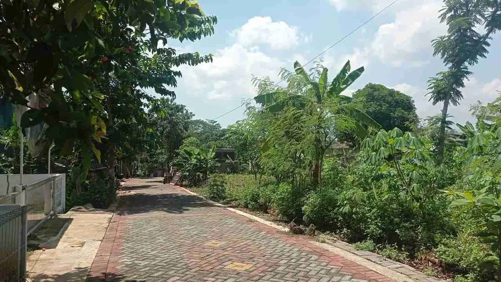 DiJual Kavling STRATEGIS 228m2 SHM di Ring 1 UNDIP Bulusan Tembalang Semarang