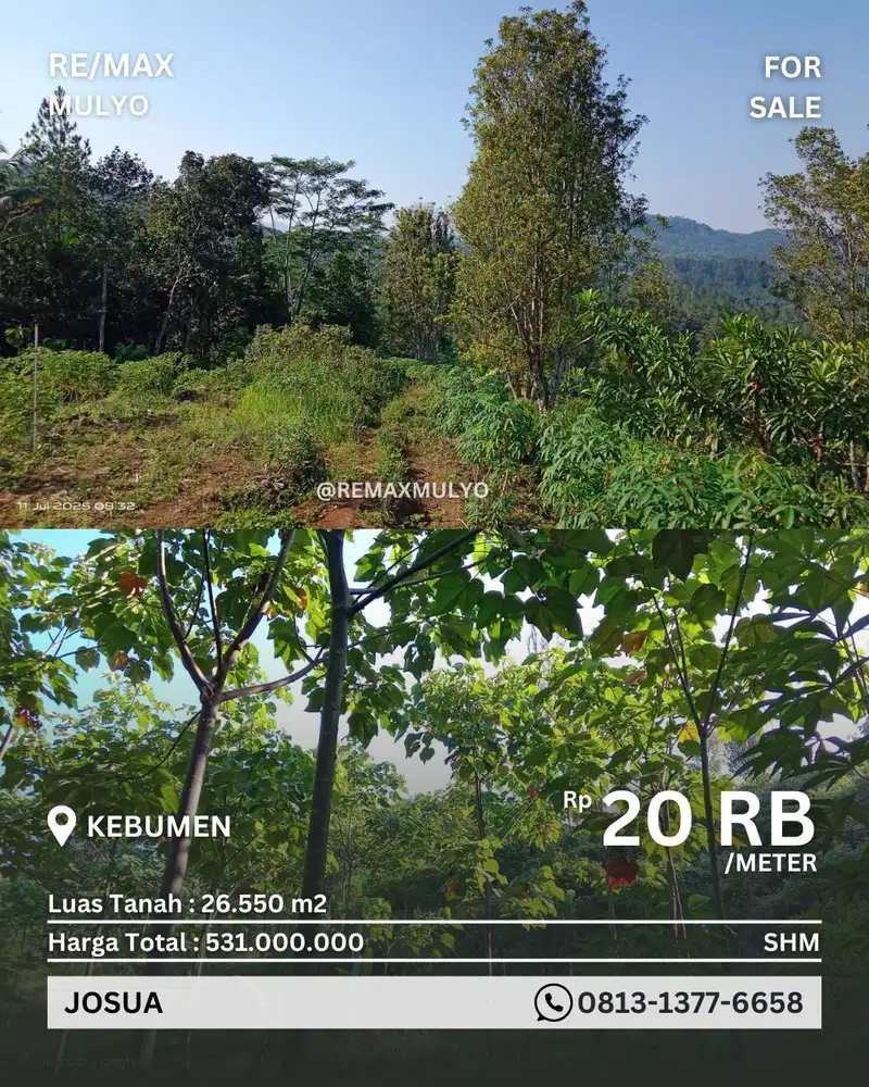 Dijual Cepat!! Nego Sampai Jadi Tanah Perkebunan Produktif Lokasi Kebu