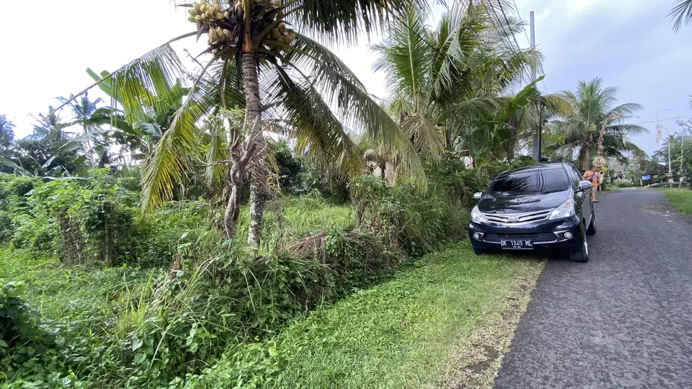 Di jual tanah luas kecil cocok untuk tempat tinggal
