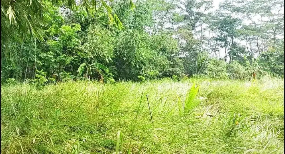 Jual Tanah Industri di Citeras, Rangkasbitung - Lebak Banten