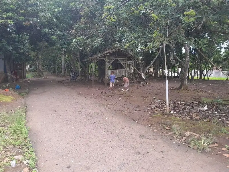 Tanah Hook Di Nyapah Dekat Stasiun Walantaka