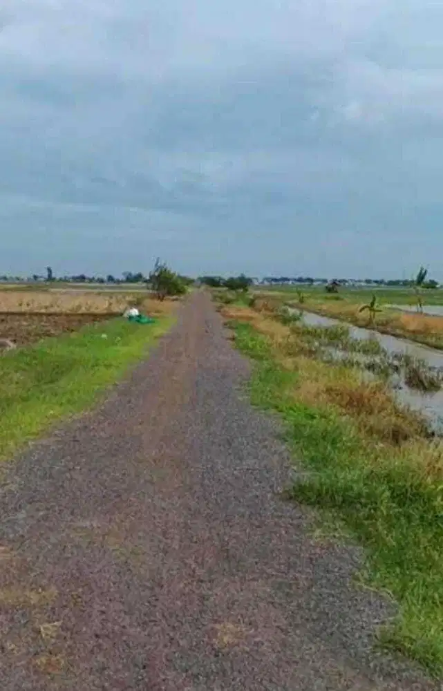 Tanah 2 Hektar Dekat Pelabuhan Patimban Siap Bangun Pabrik Gudang