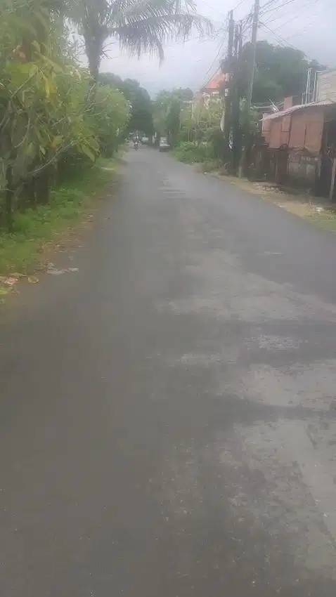 disewakan min2 th rumah 5 kmr tidur di Renon Denpasar Bali